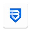 MshowPro